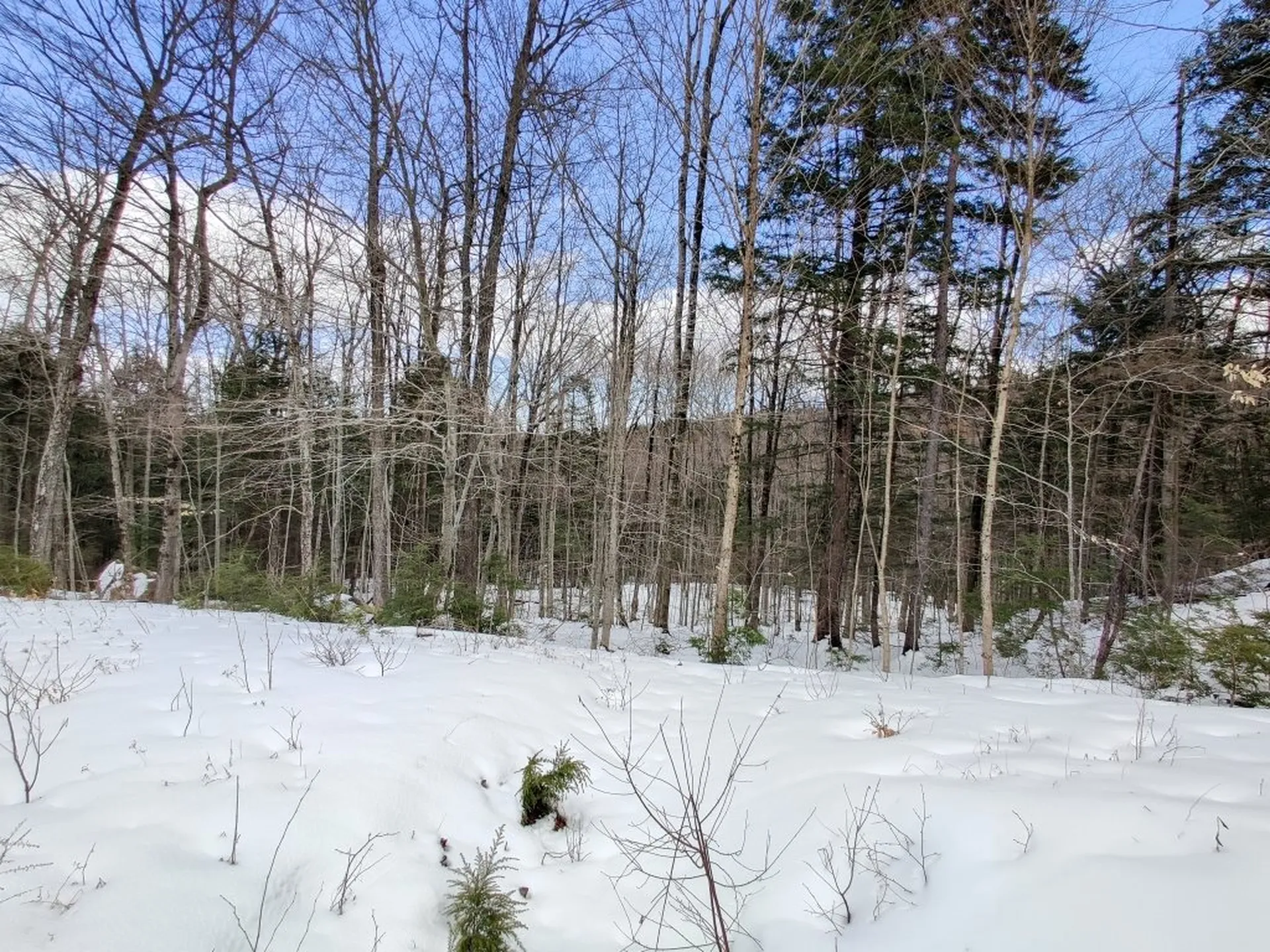 0 Lakeview Heights Alexandria NH 03222