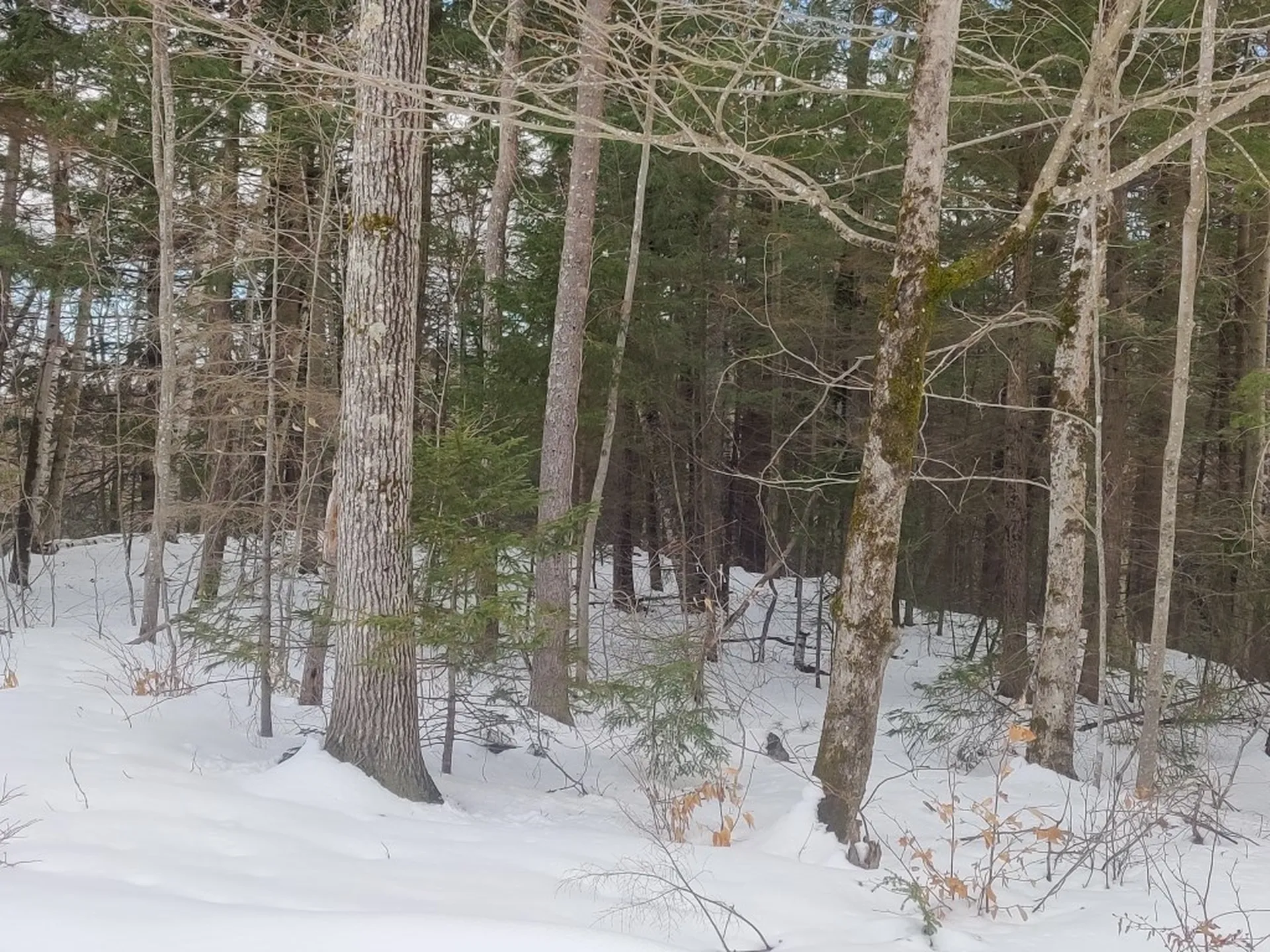 0 Lakeview Heights Alexandria NH 03222
