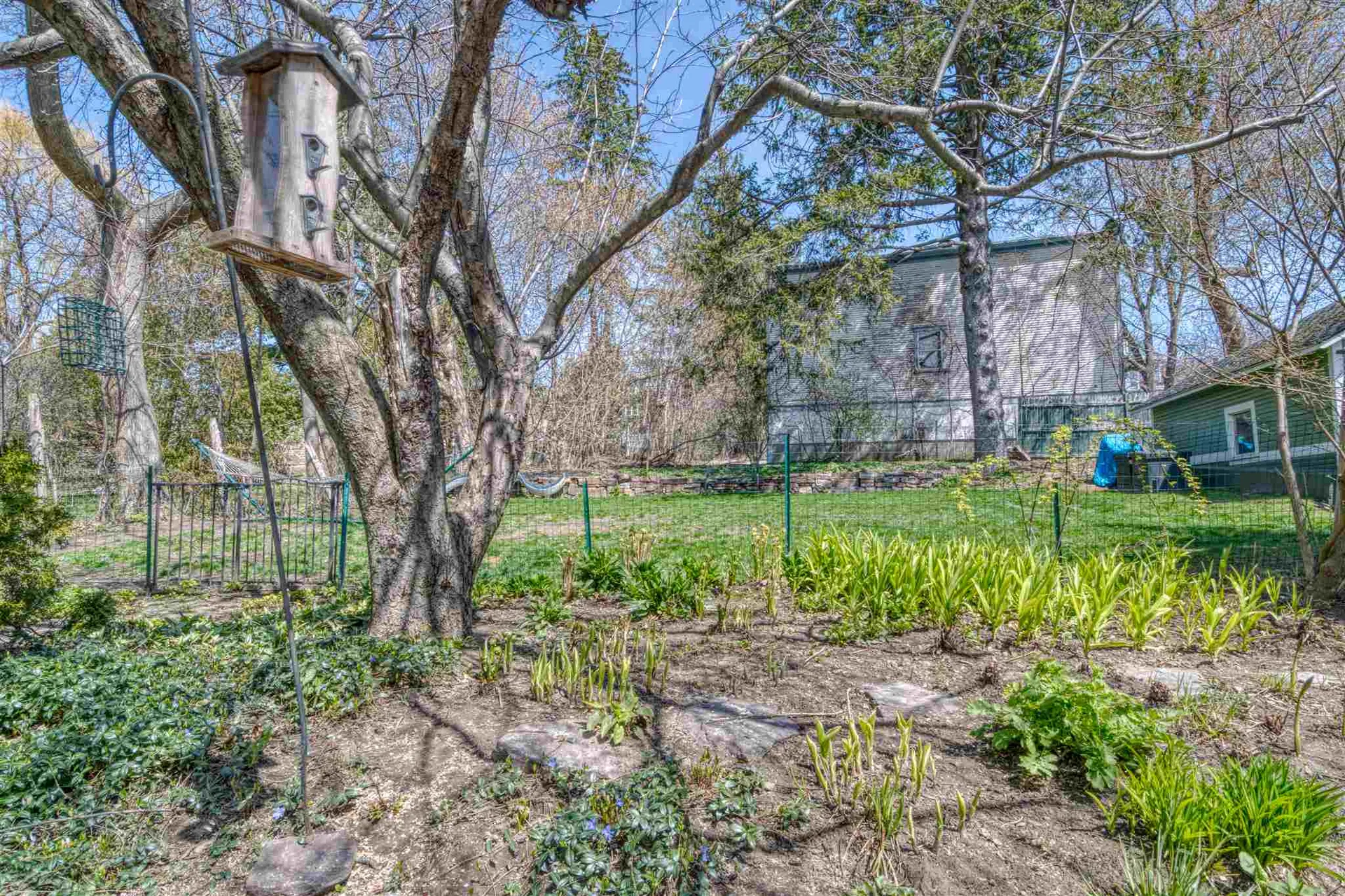 406 South Winooski Avenue Burlington VT 05401