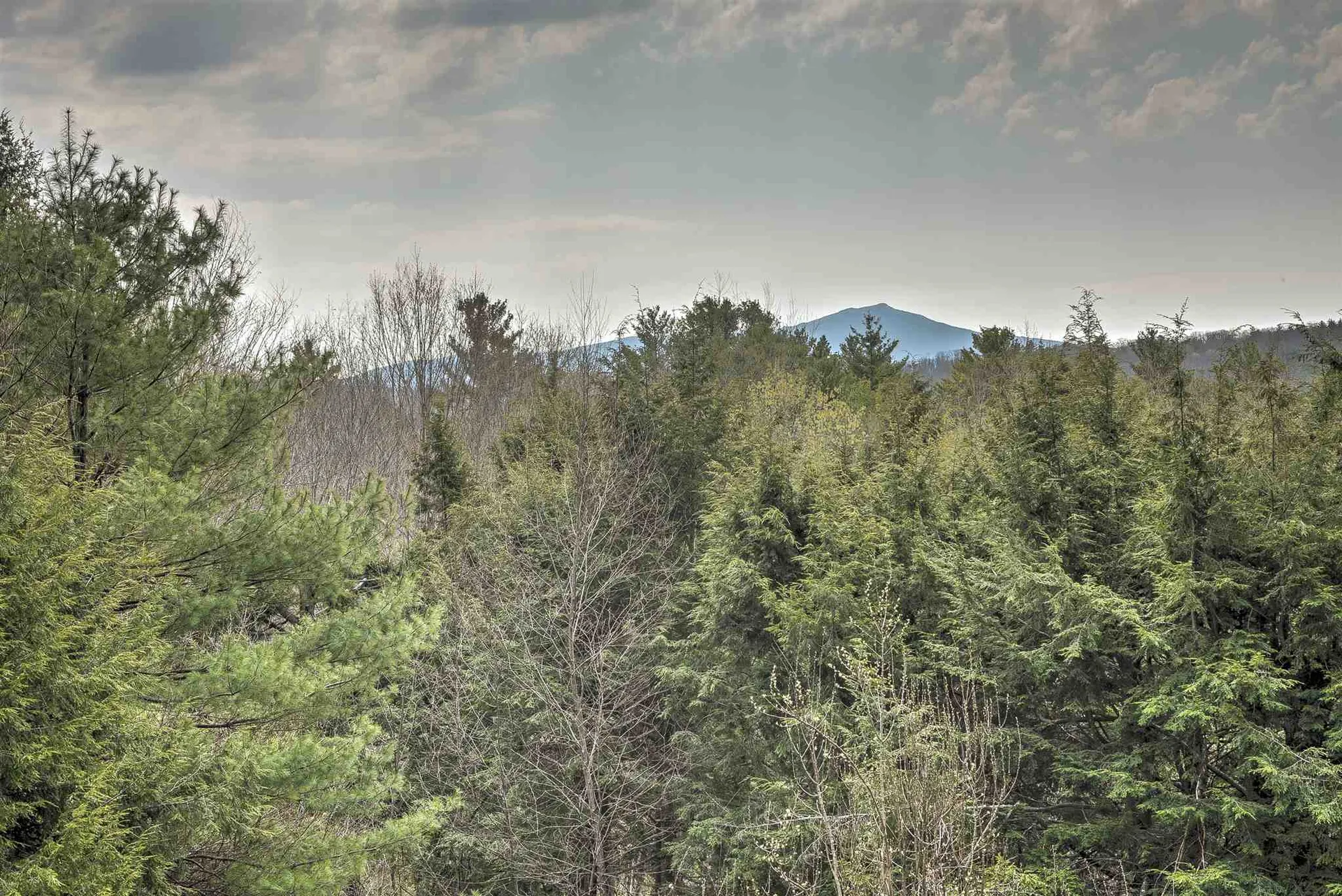 29 Cranberry Road Keene NH 03431