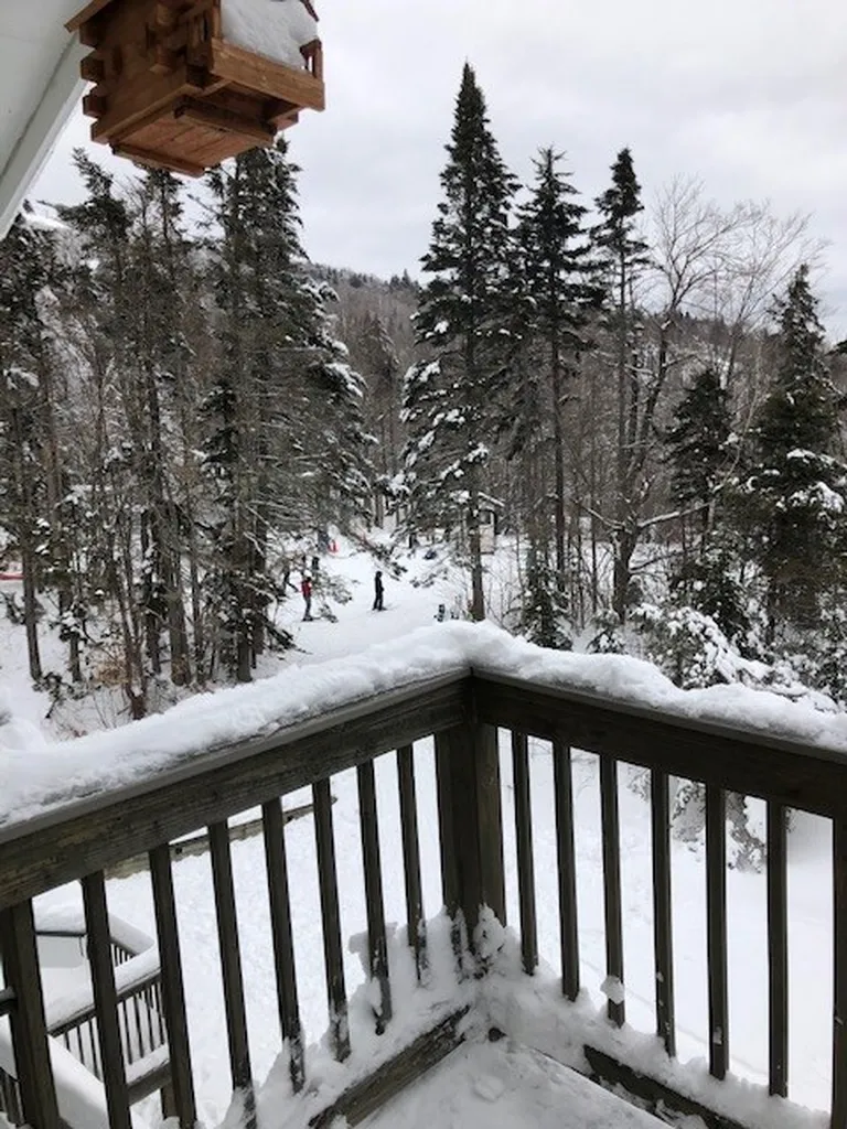 78 Farm Road Peru VT 05152