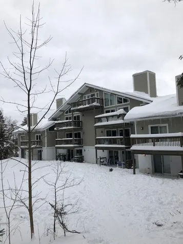 78 Farm Road Peru VT 05152