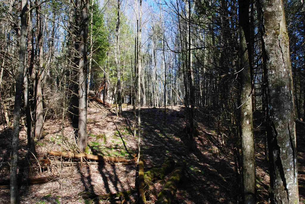 369 Morses Mill Road Danville VT 05828