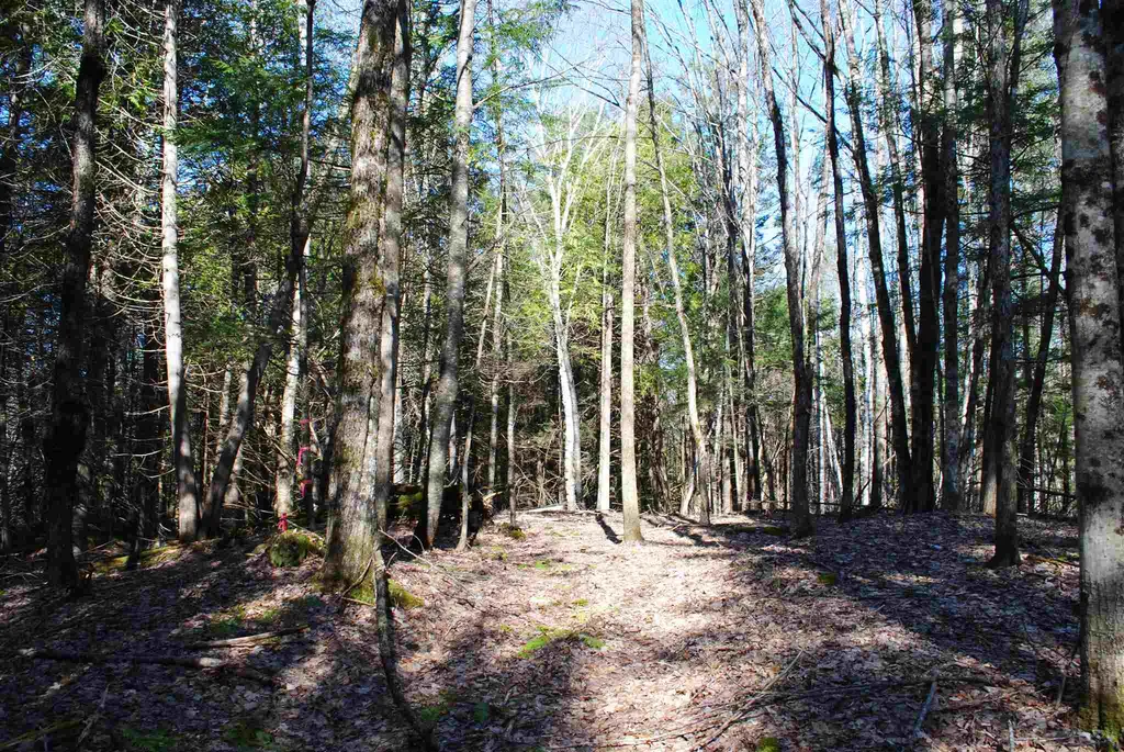 369 Morses Mill Road Danville VT 05828