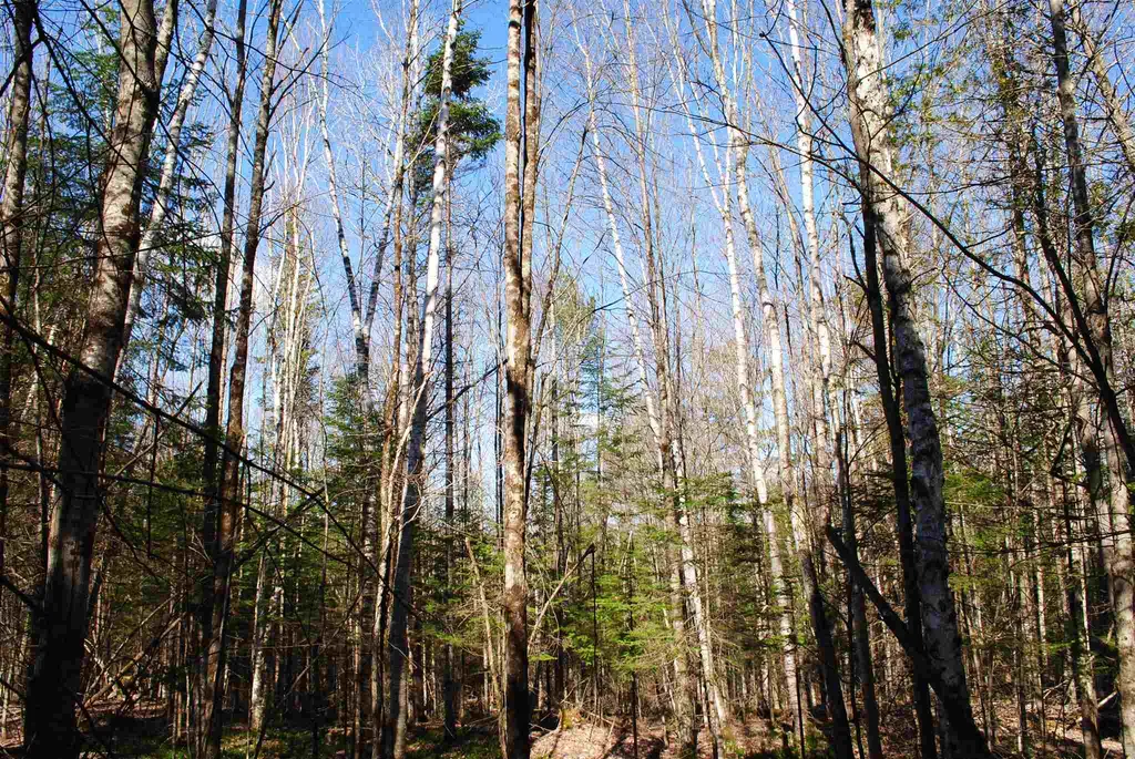 369 Morses Mill Road Danville VT 05828