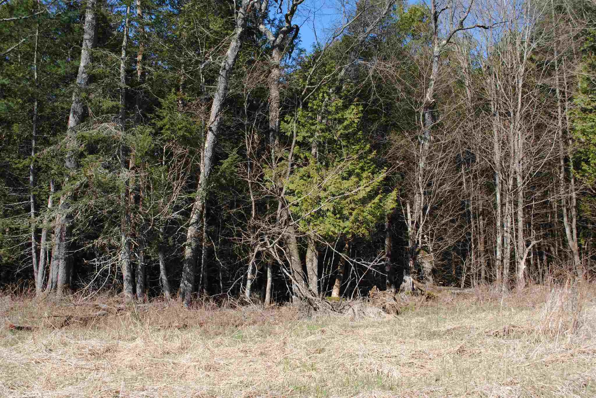 369 Morses Mill Road Danville VT 05828
