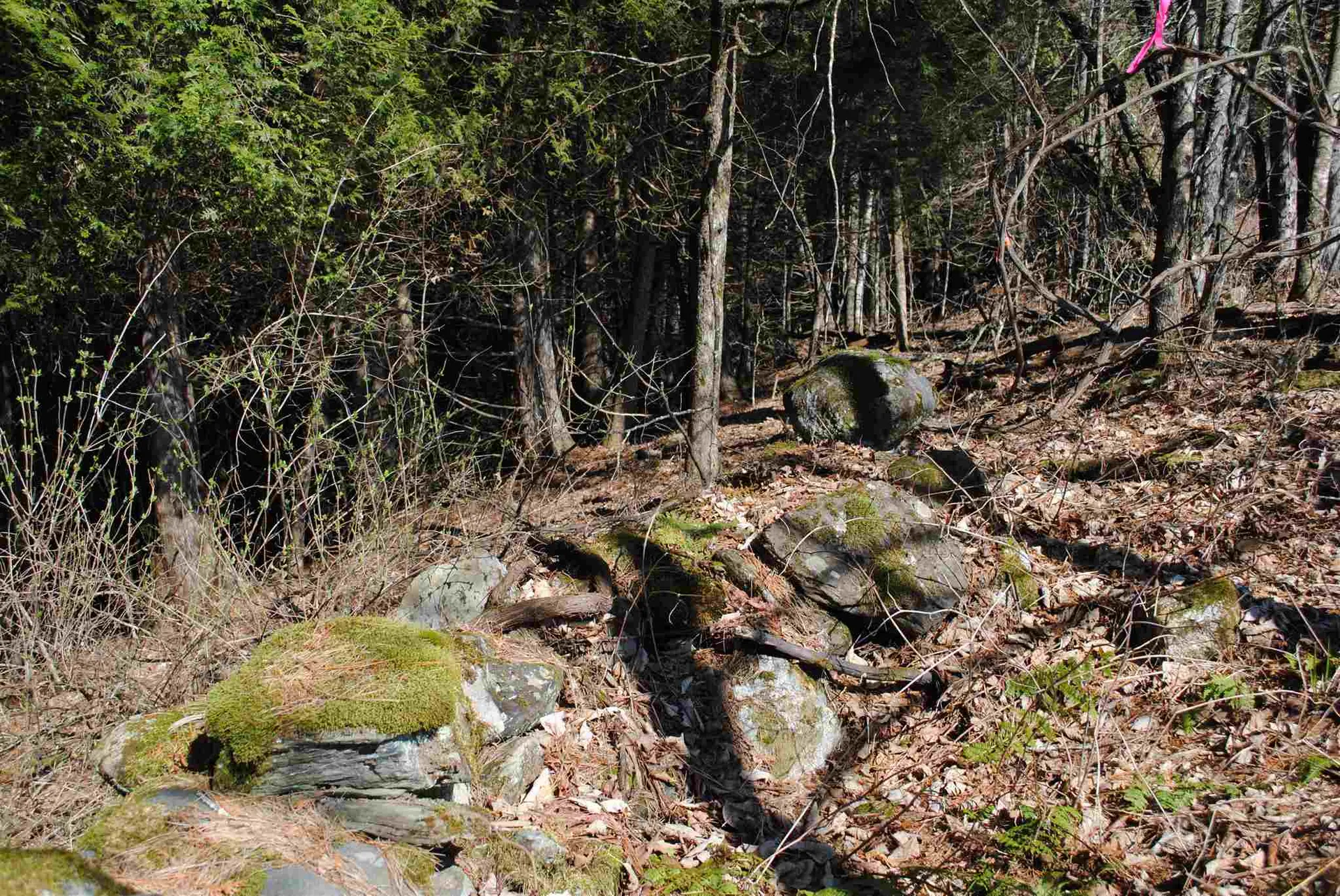 369 Morses Mill Road Danville VT 05828