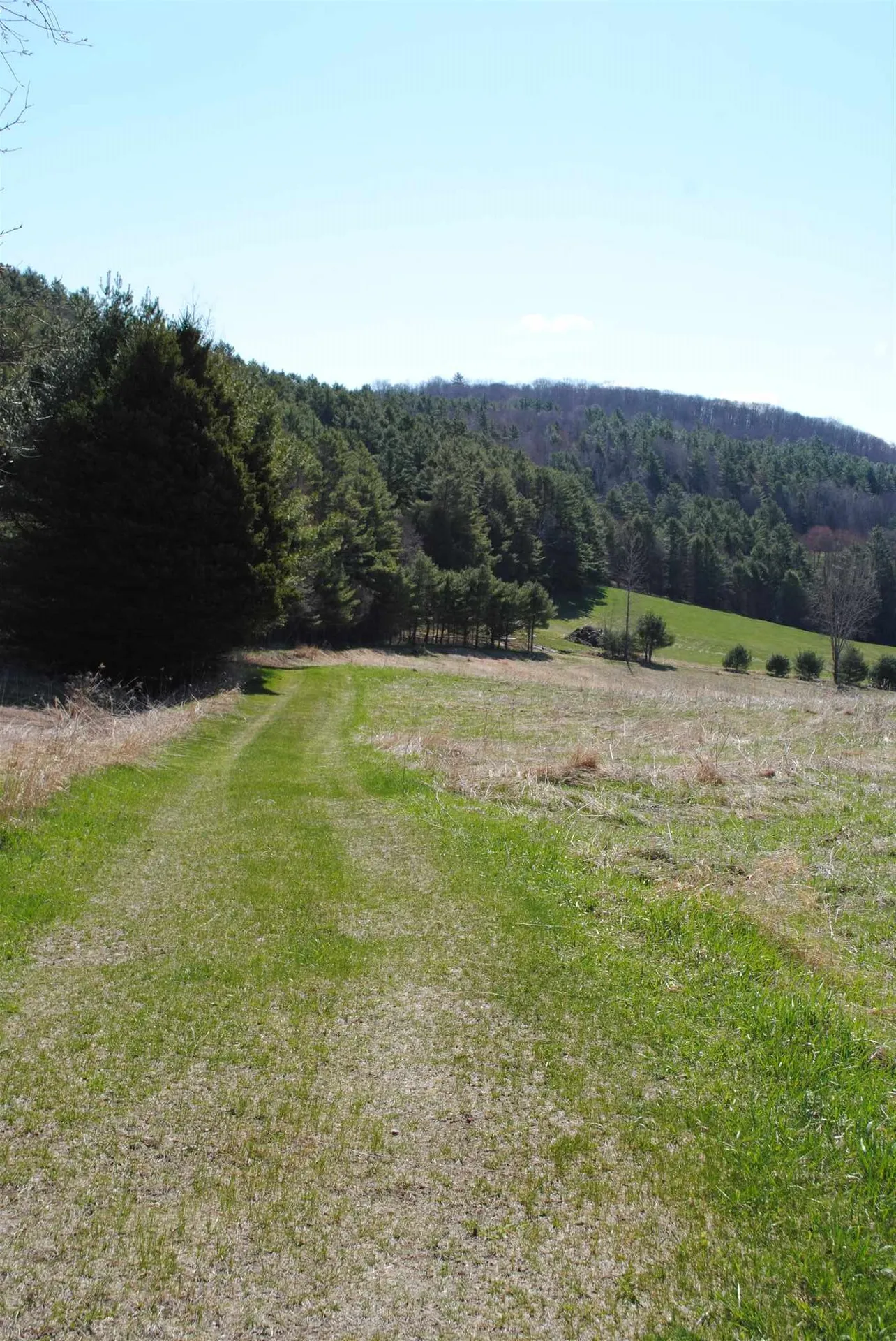 369 Morses Mill Road Danville VT 05828