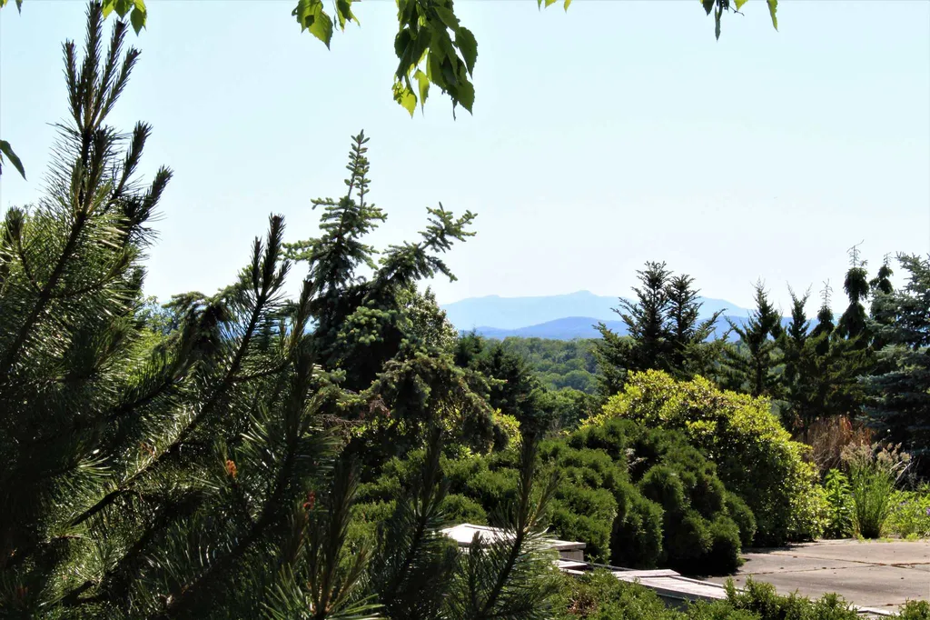 1953 South Albany Road Craftsbury VT 05602