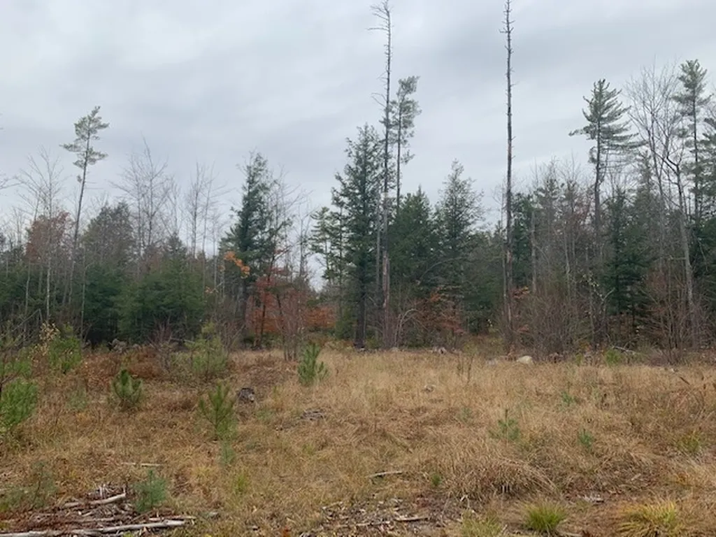 Map 9, Lot 42 Parker Mountain Road Strafford NH 03884