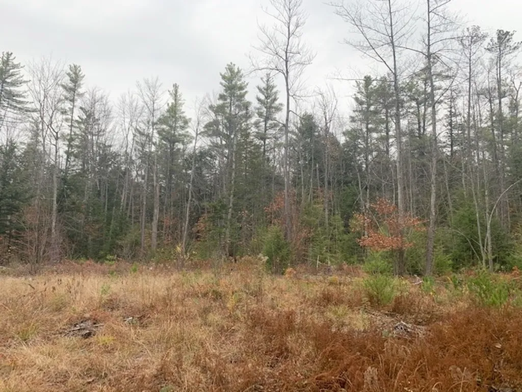 Map 9, Lot 42 Parker Mountain Road Strafford NH 03884