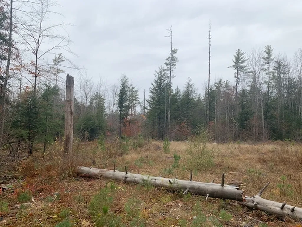 Map 9, Lot 42 Parker Mountain Road Strafford NH 03884