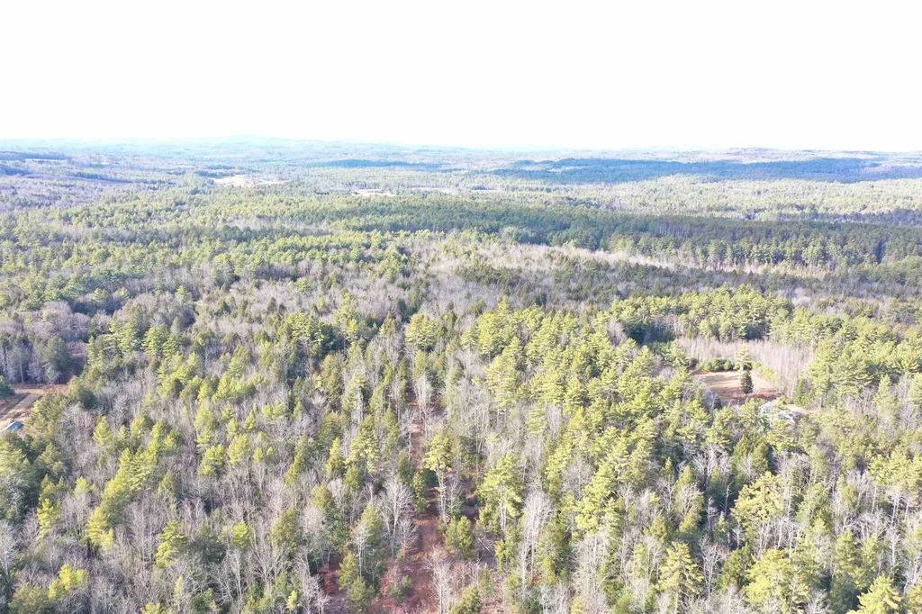 Map 9, Lot 42 Parker Mountain Road Strafford NH 03884