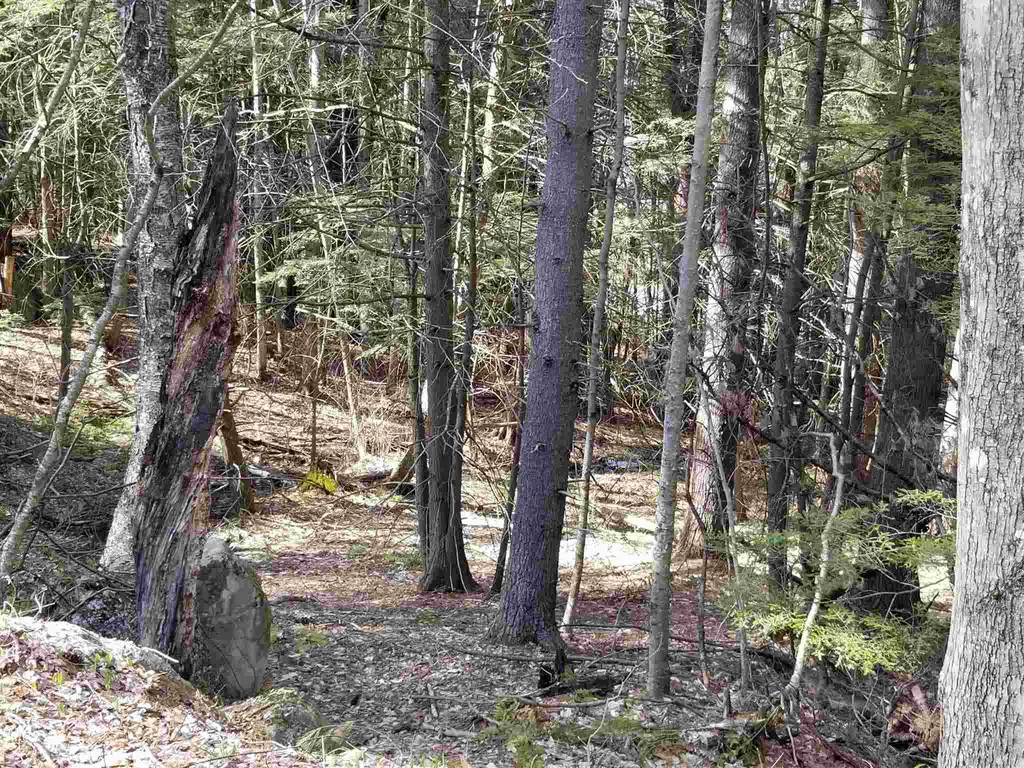 Laurel Lane Wilmot NH 03287