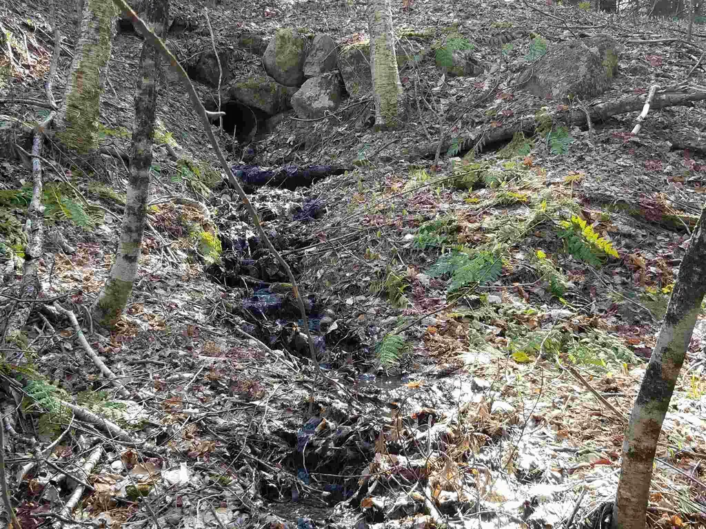 Laurel Lane Wilmot NH 03287