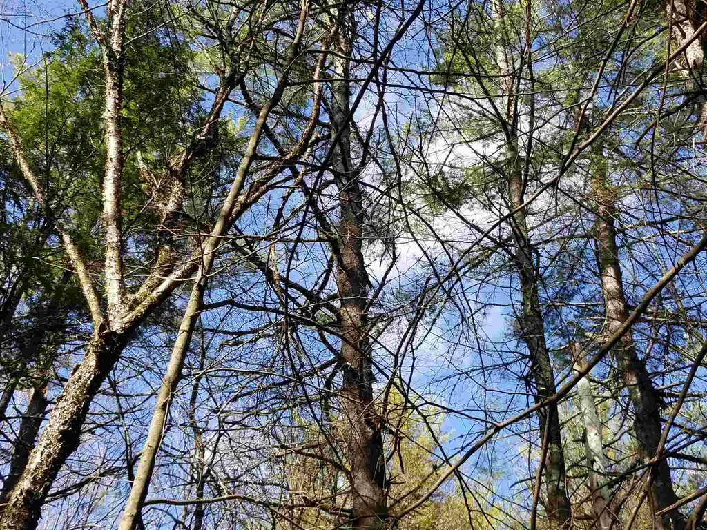 Laurel Lane Wilmot NH 03287