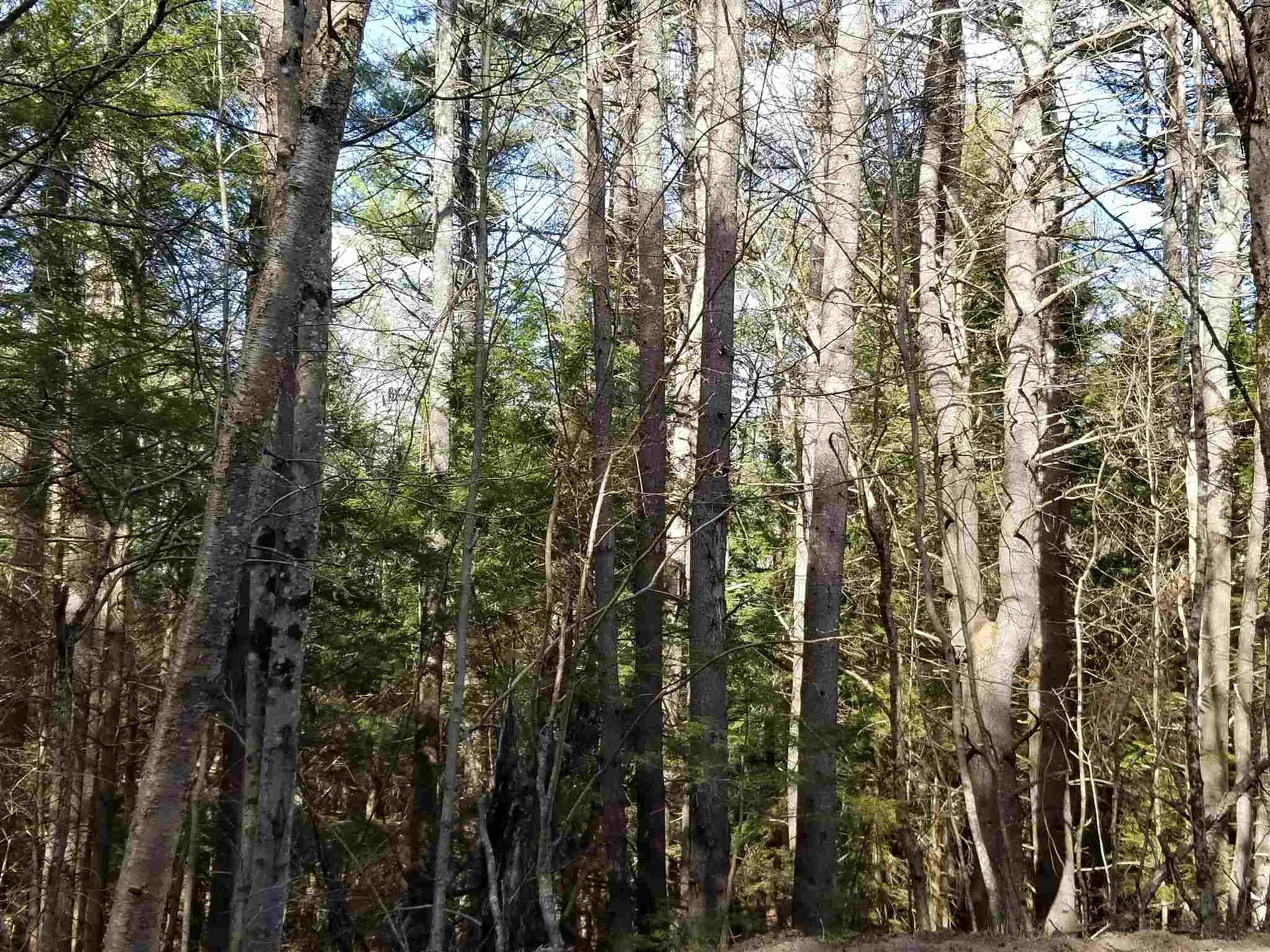 Laurel Lane Wilmot NH 03287