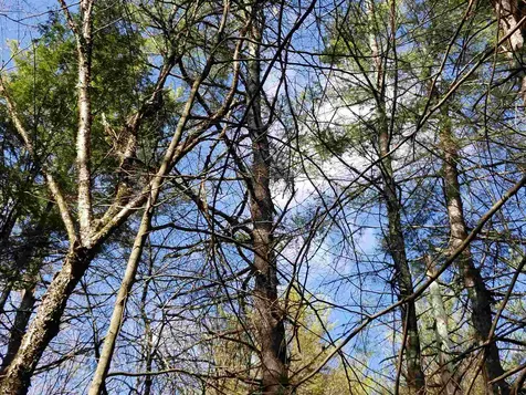 Laurel Lane Wilmot NH 03287