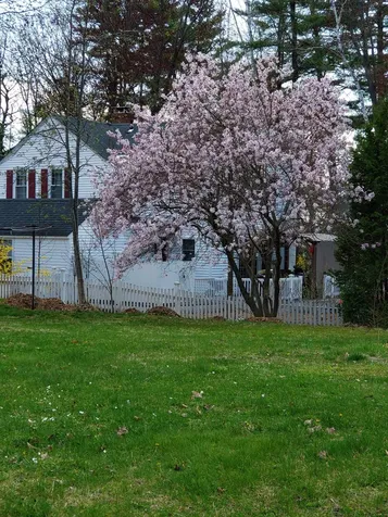 21 Shore Drive Laconia NH 03246