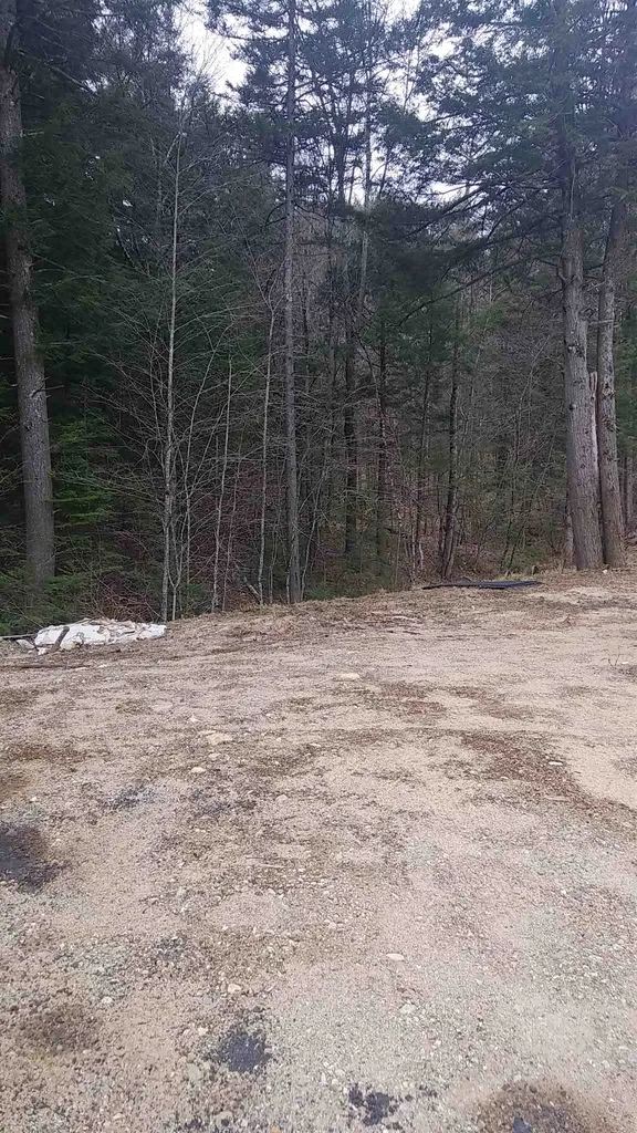 159 Morrison Road Alexandria NH 03222