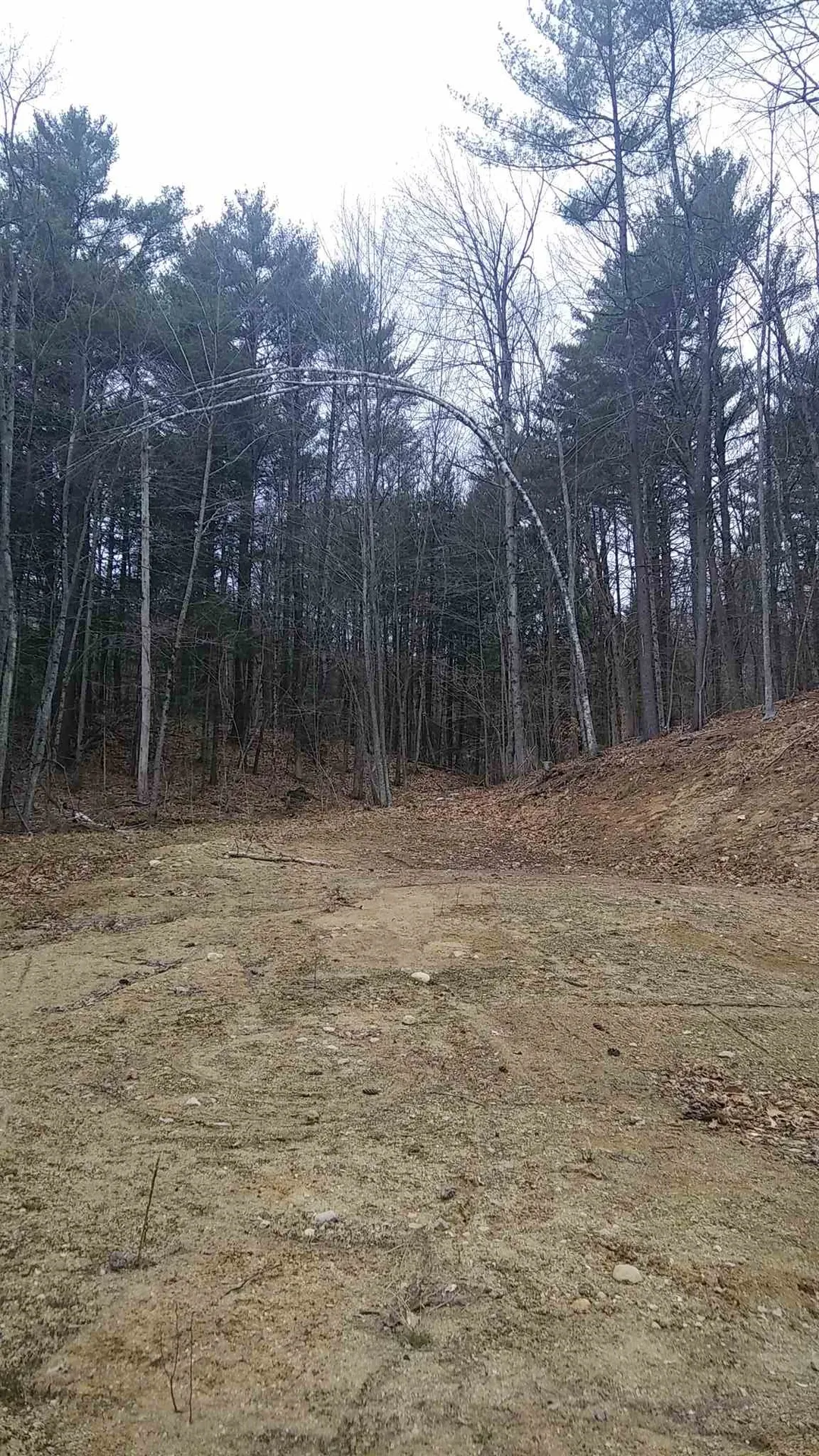 159 Morrison Road Alexandria NH 03222