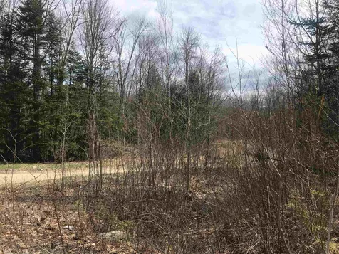 12 Woodland Heights Grantham NH 03753