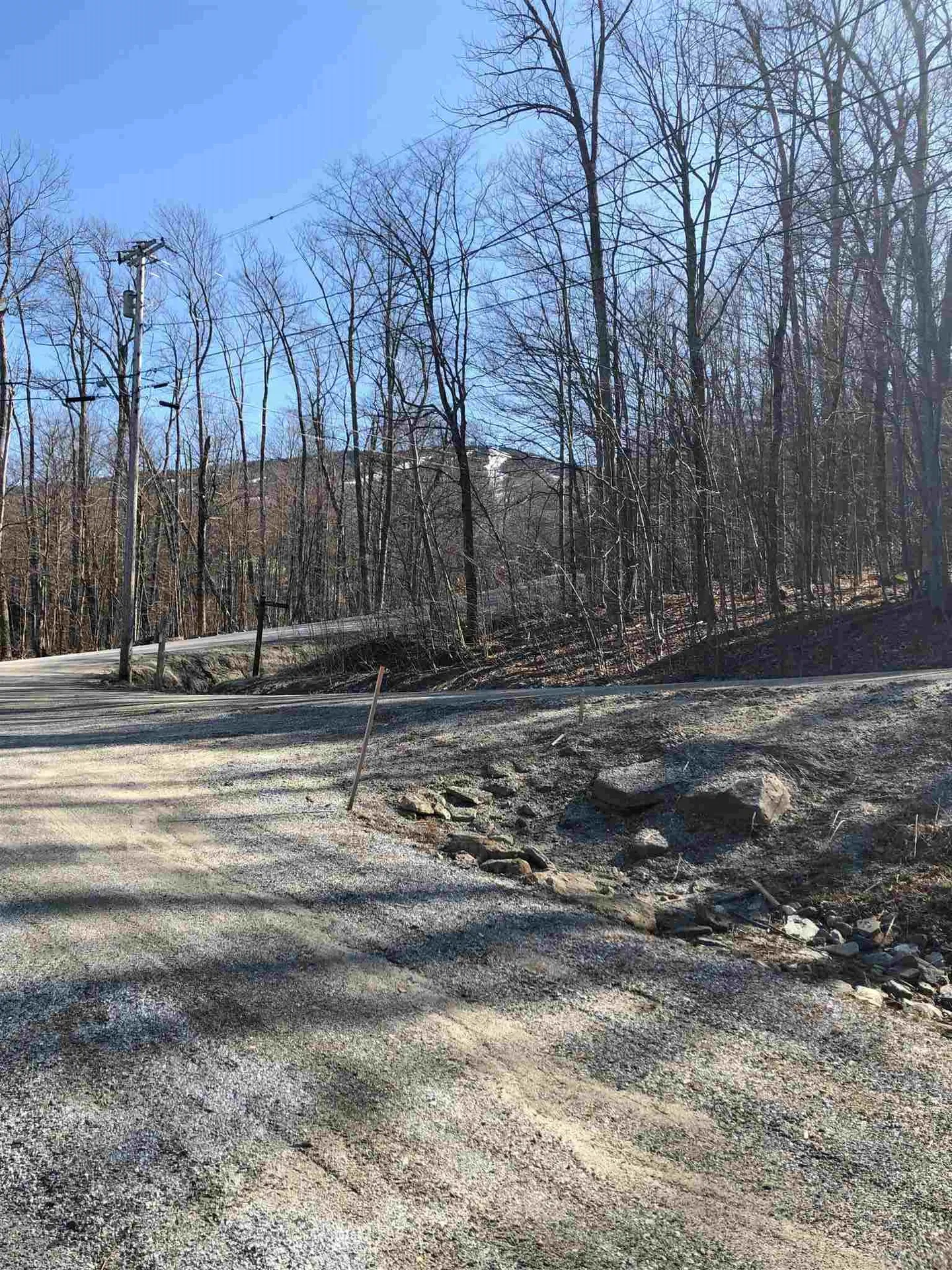 4 Windtree Road Winhall VT 05340