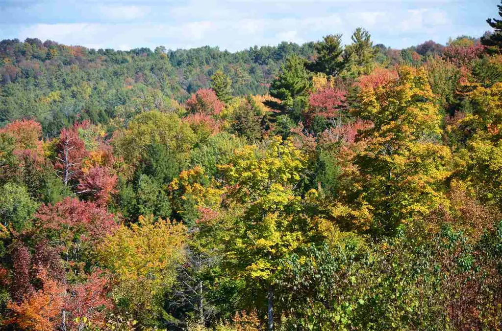 100 Walker Road Berlin VT 05602