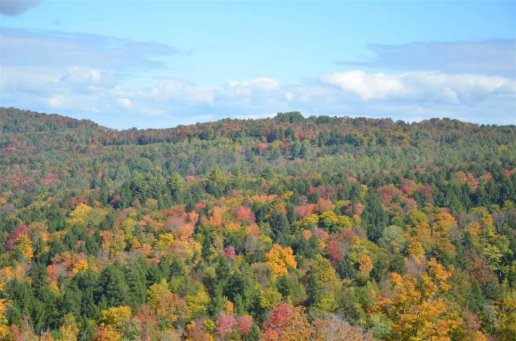 100 Walker Road Berlin VT 05602