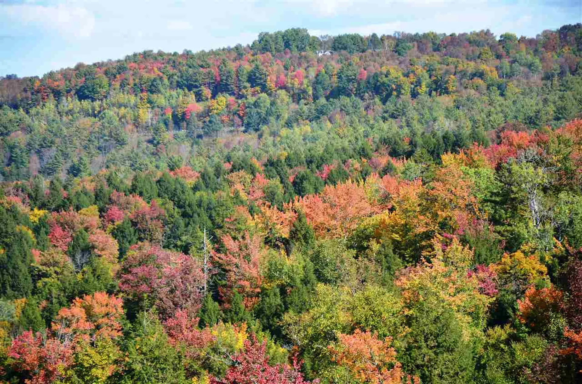 100 Walker Road Berlin VT 05602