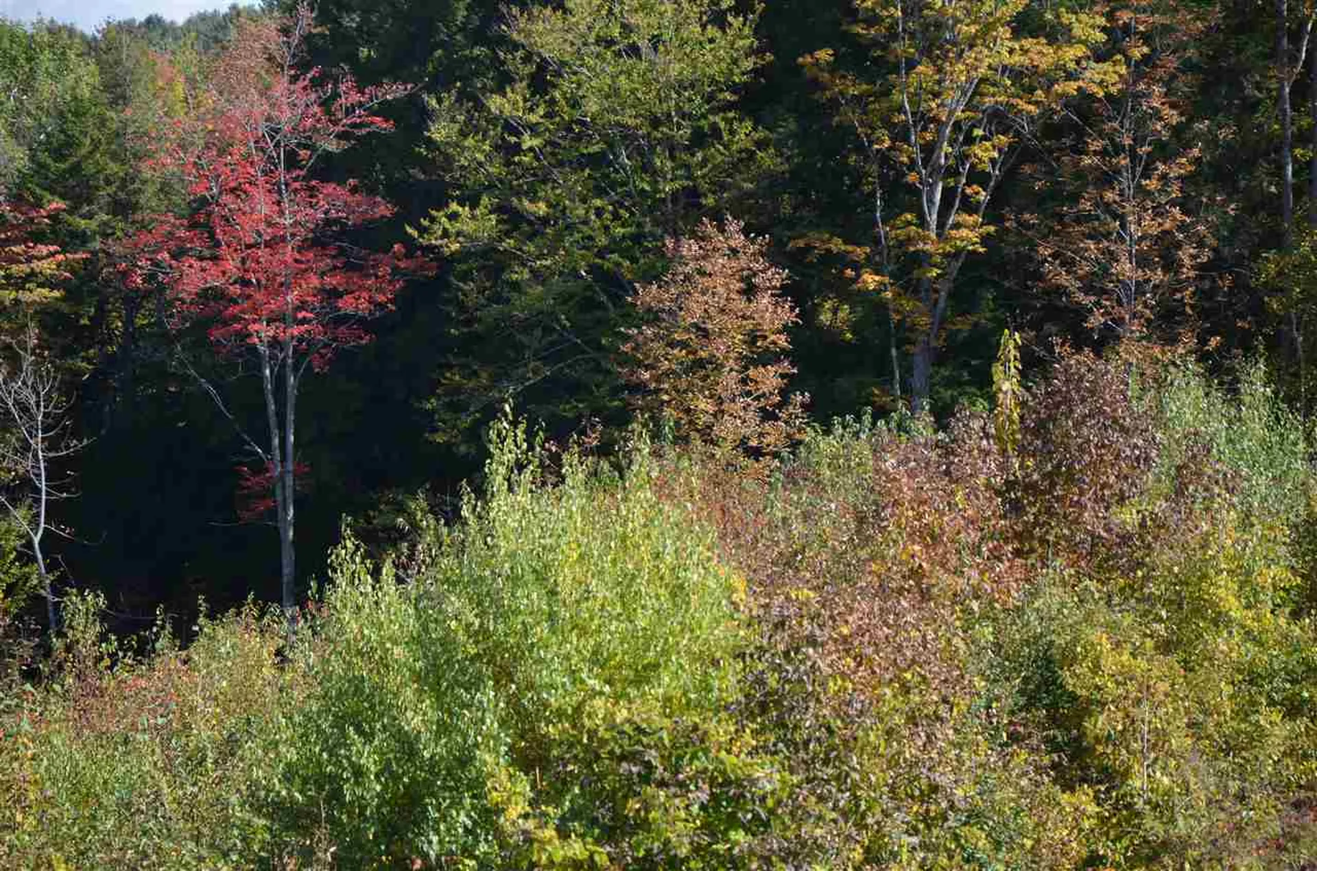 100 Walker Road Berlin VT 05602