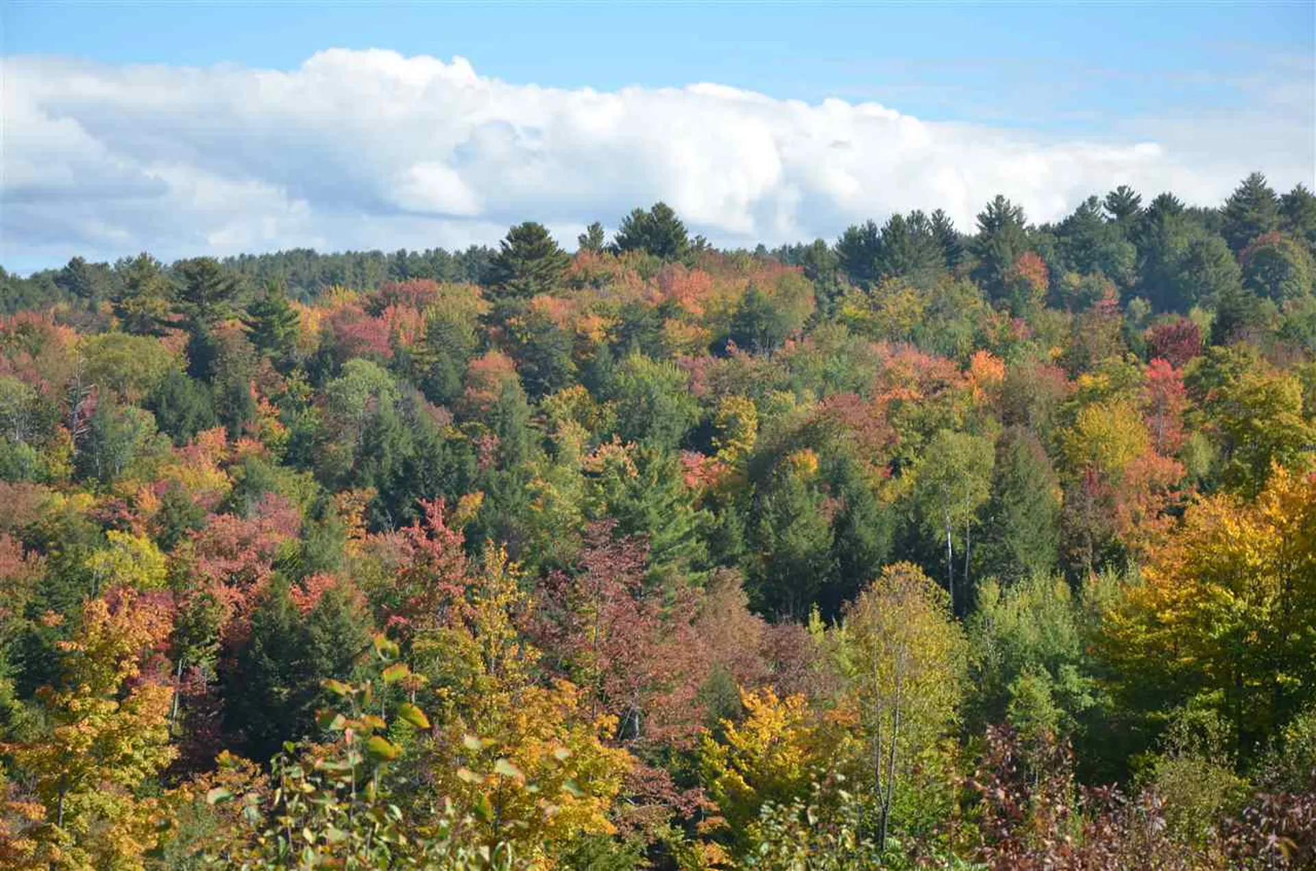 100 Walker Road Berlin VT 05602