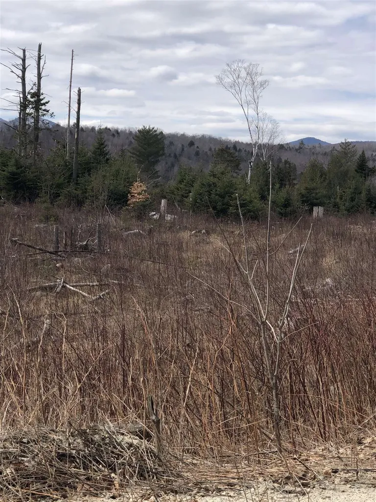 00 Goodfellow Road Groton VT 05046
