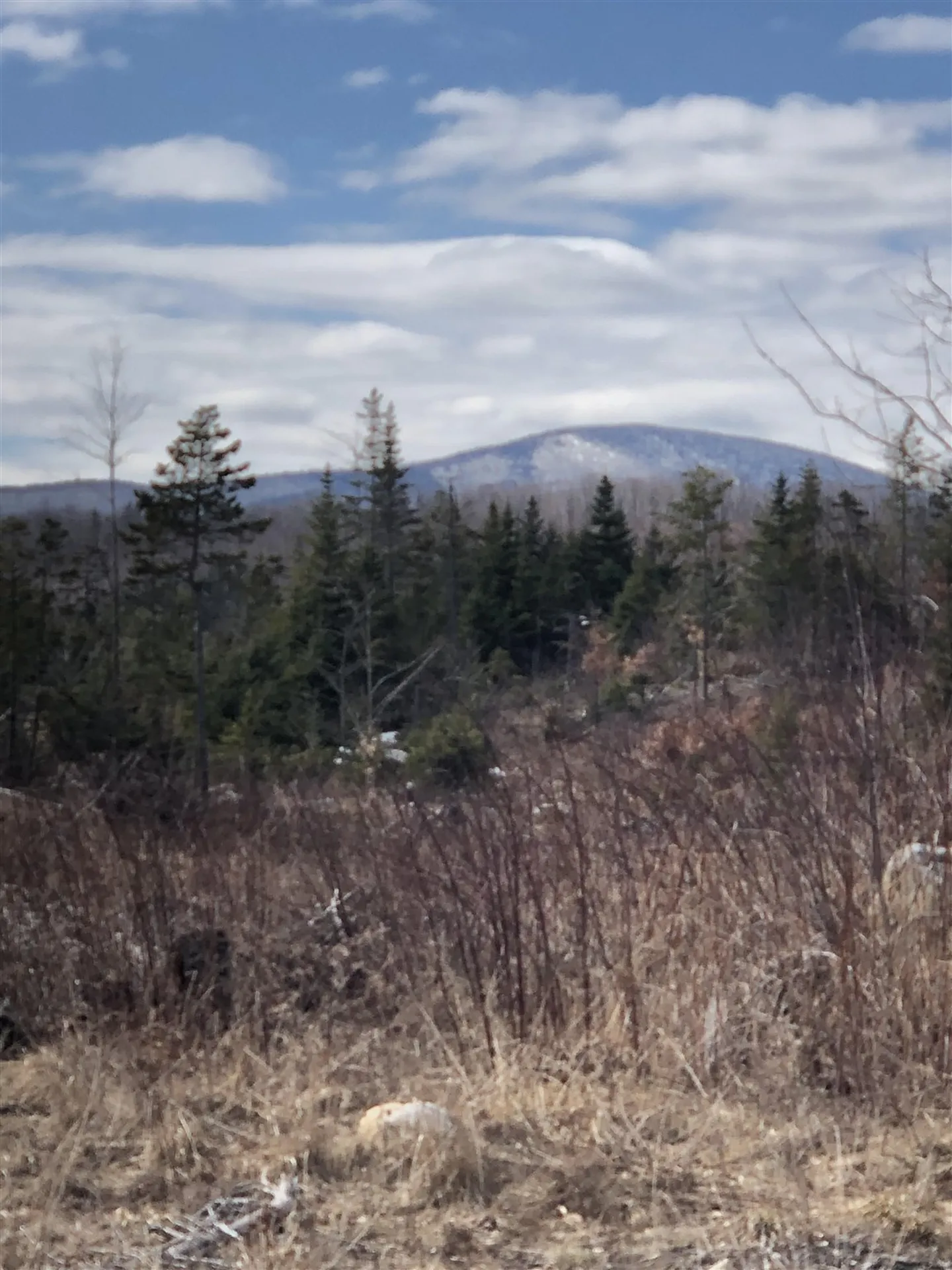 00 Goodfellow Road Groton VT 05046