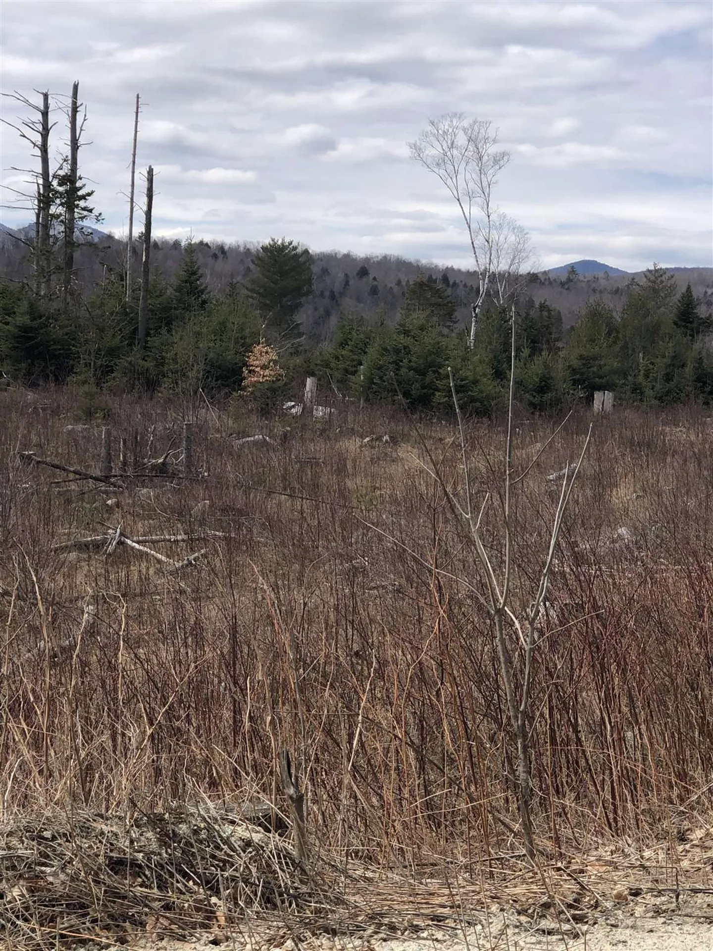 00 Goodfellow Road Groton VT 05046