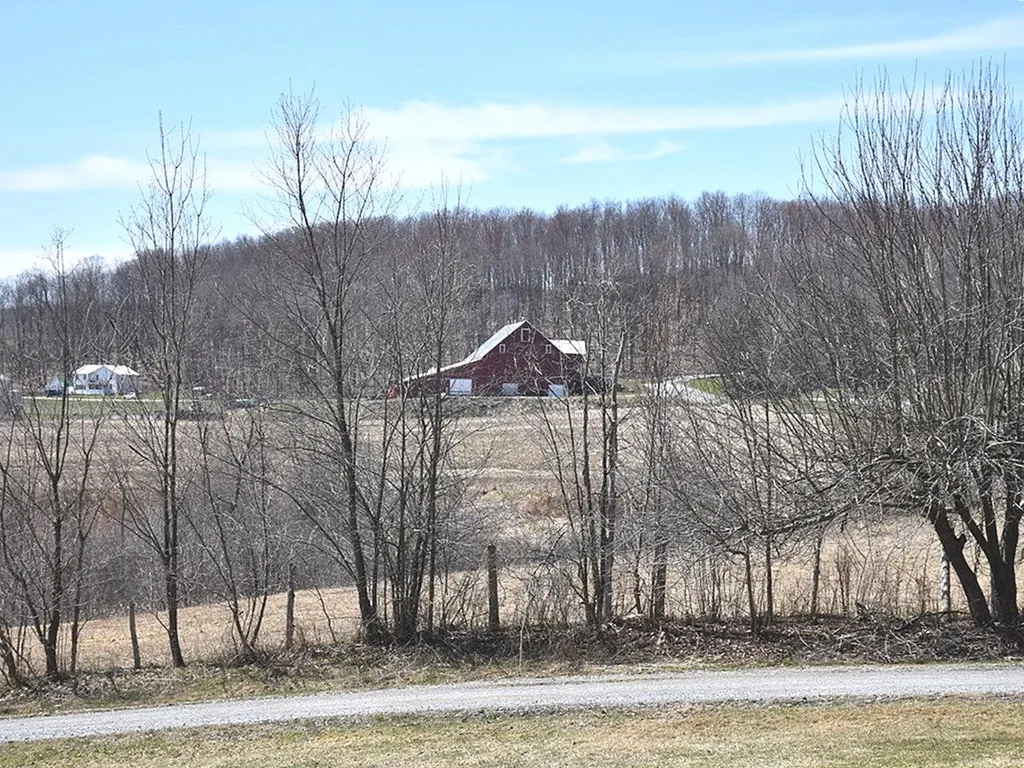 1041 Buck Hollow Road Fairfax VT 05454