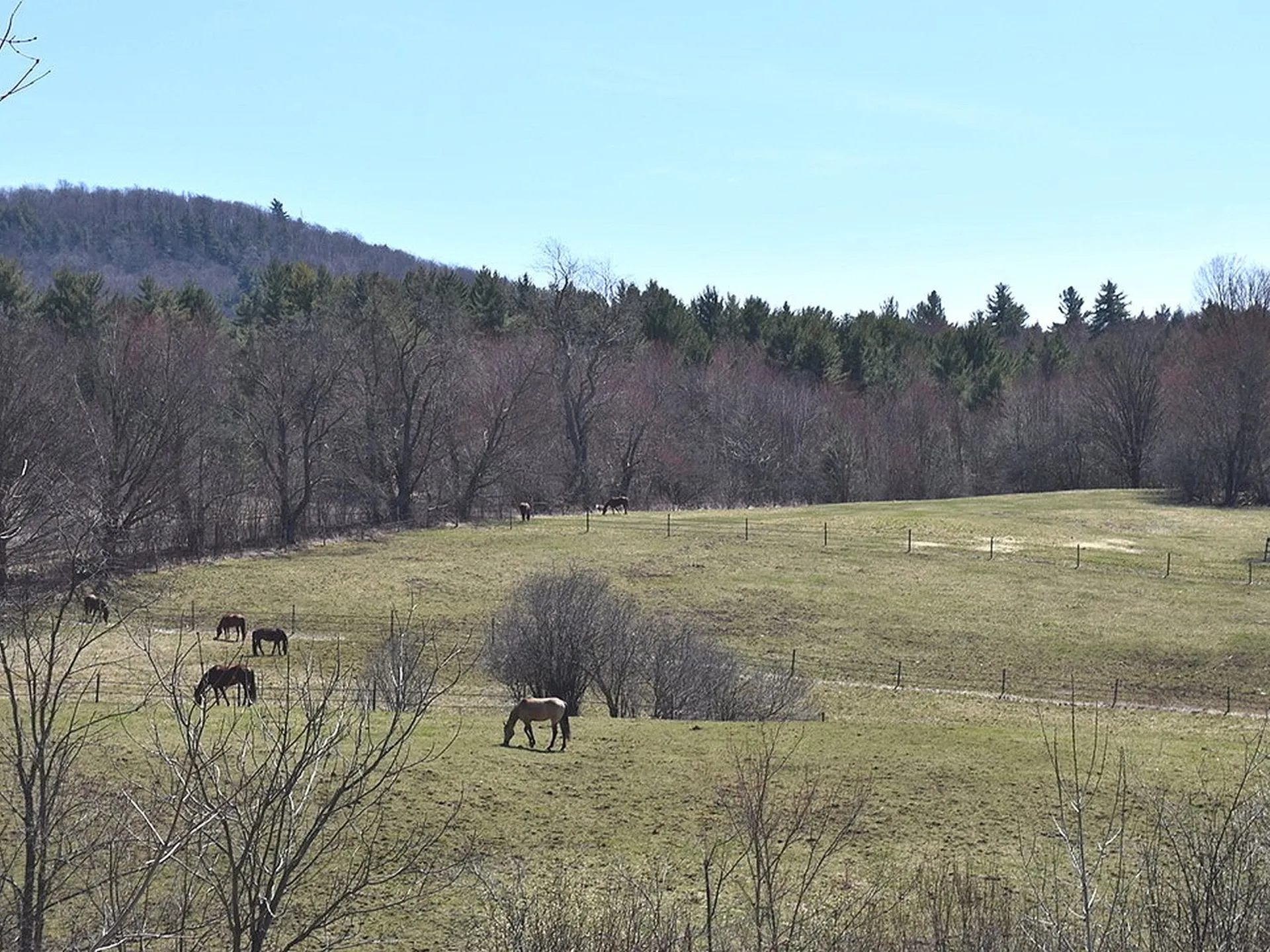 1041 Buck Hollow Road Fairfax VT 05454