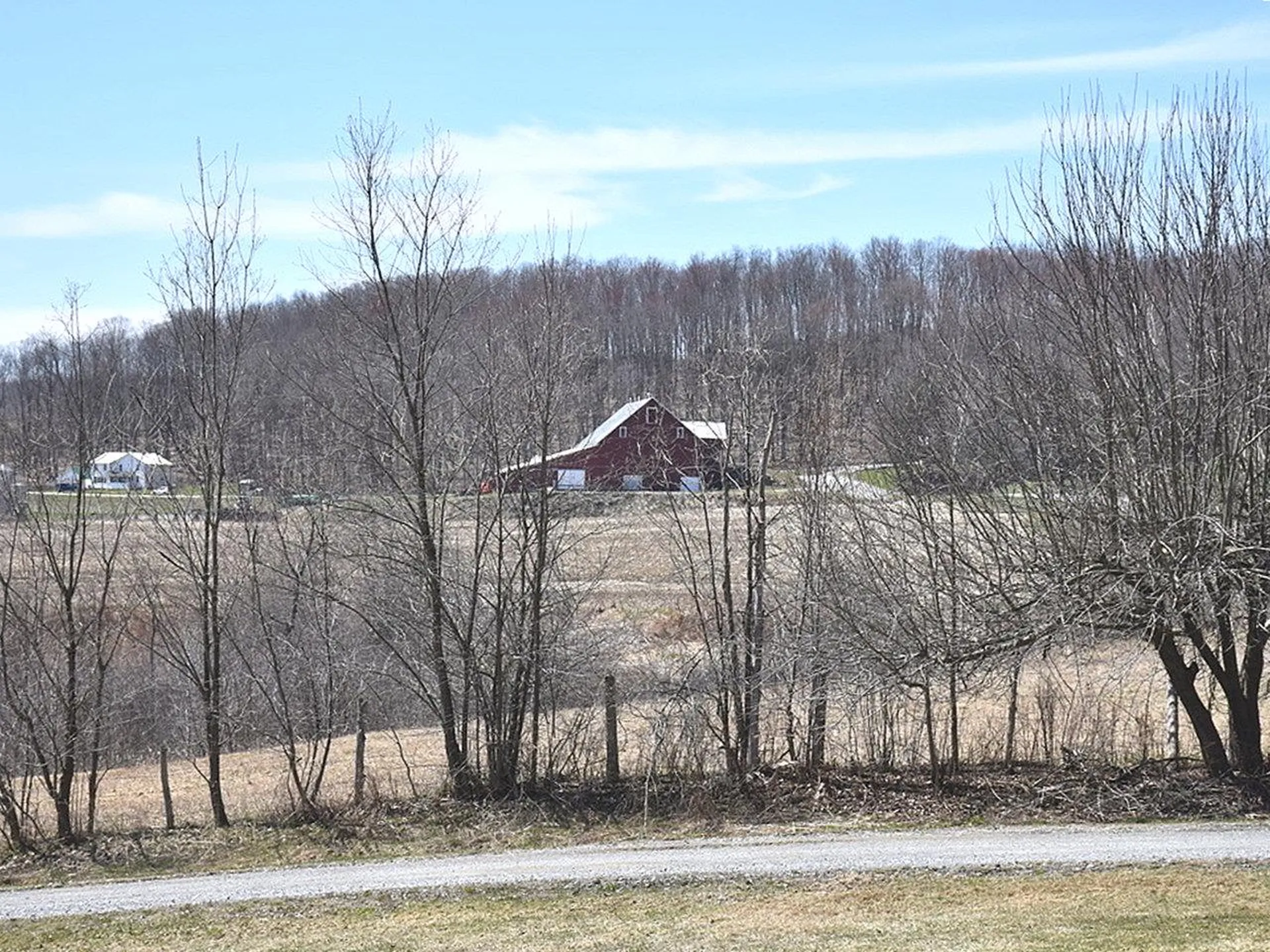 1041 Buck Hollow Road Fairfax VT 05454