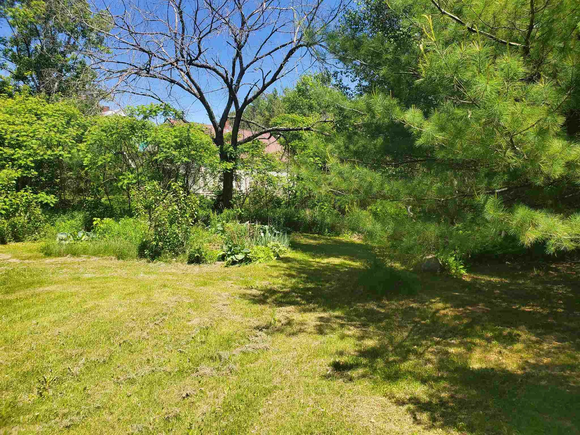 116 Mount Eustis Road Littleton NH 03561