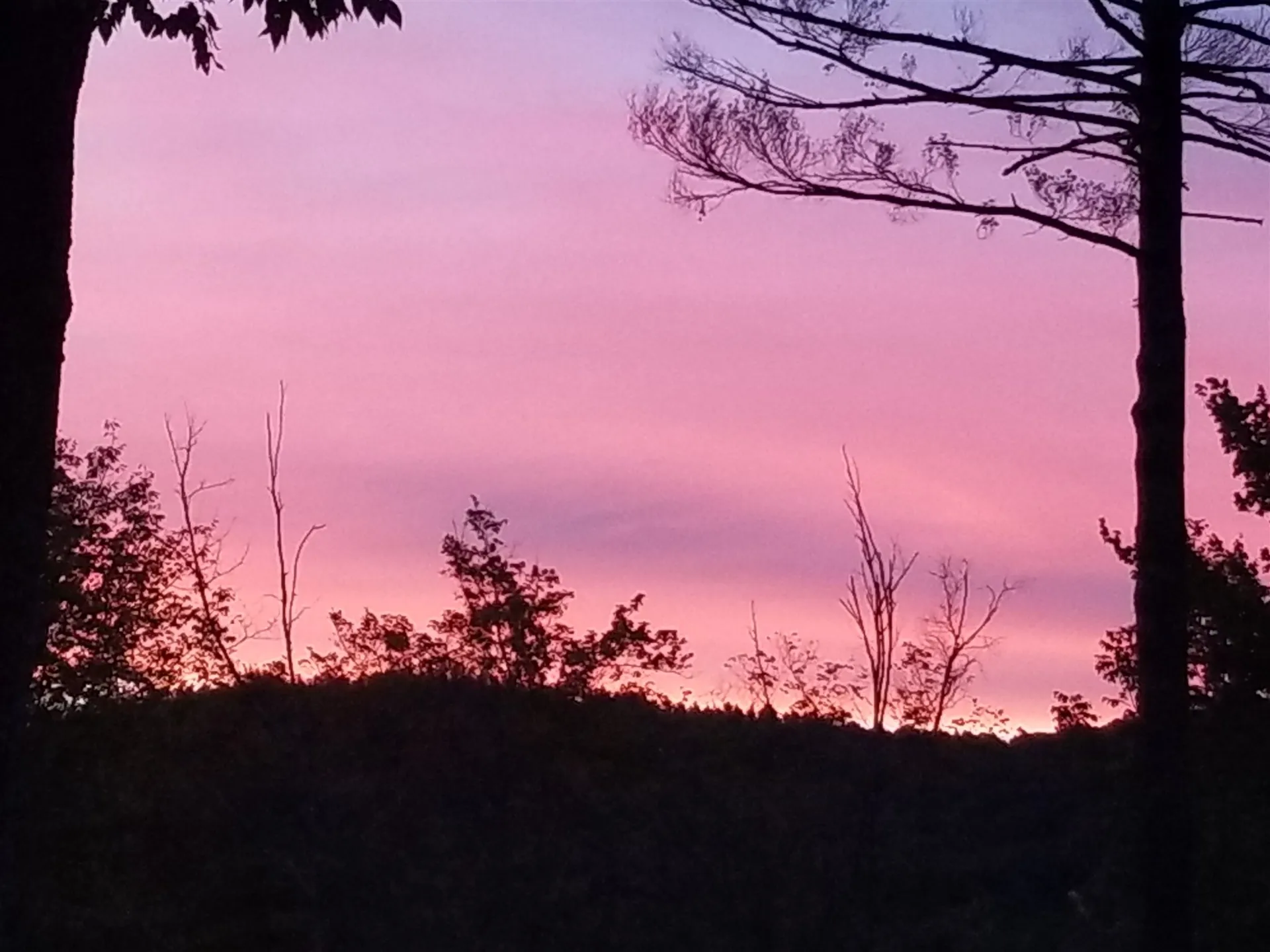 128 Shurtleff Lane Woodstock VT 05091