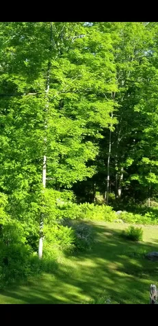128 Shurtleff Lane Woodstock VT 05091