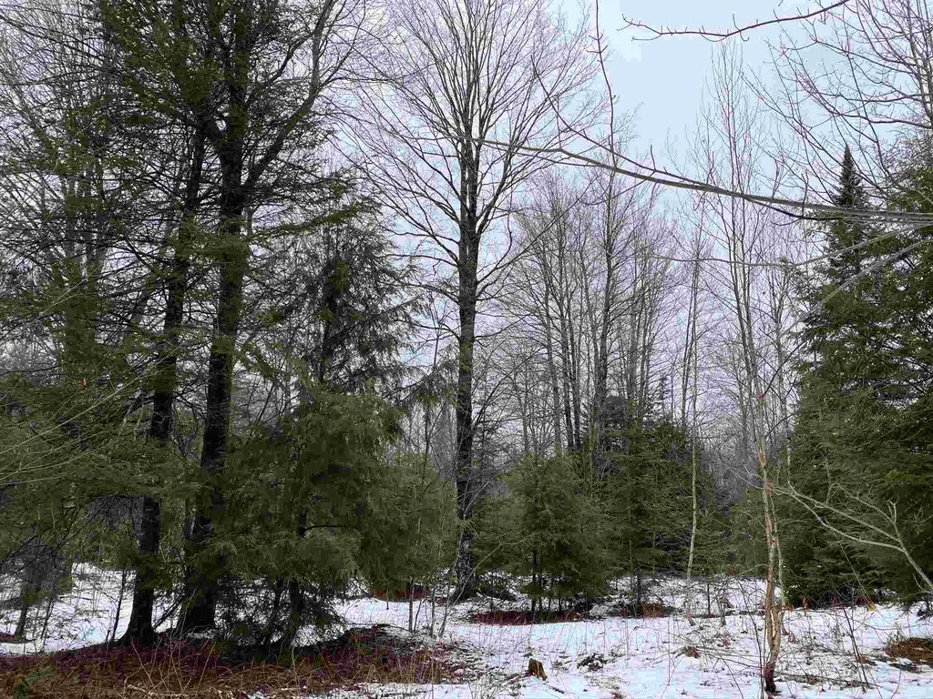 0 Mountain Estates Drive Hyde Park VT 05655