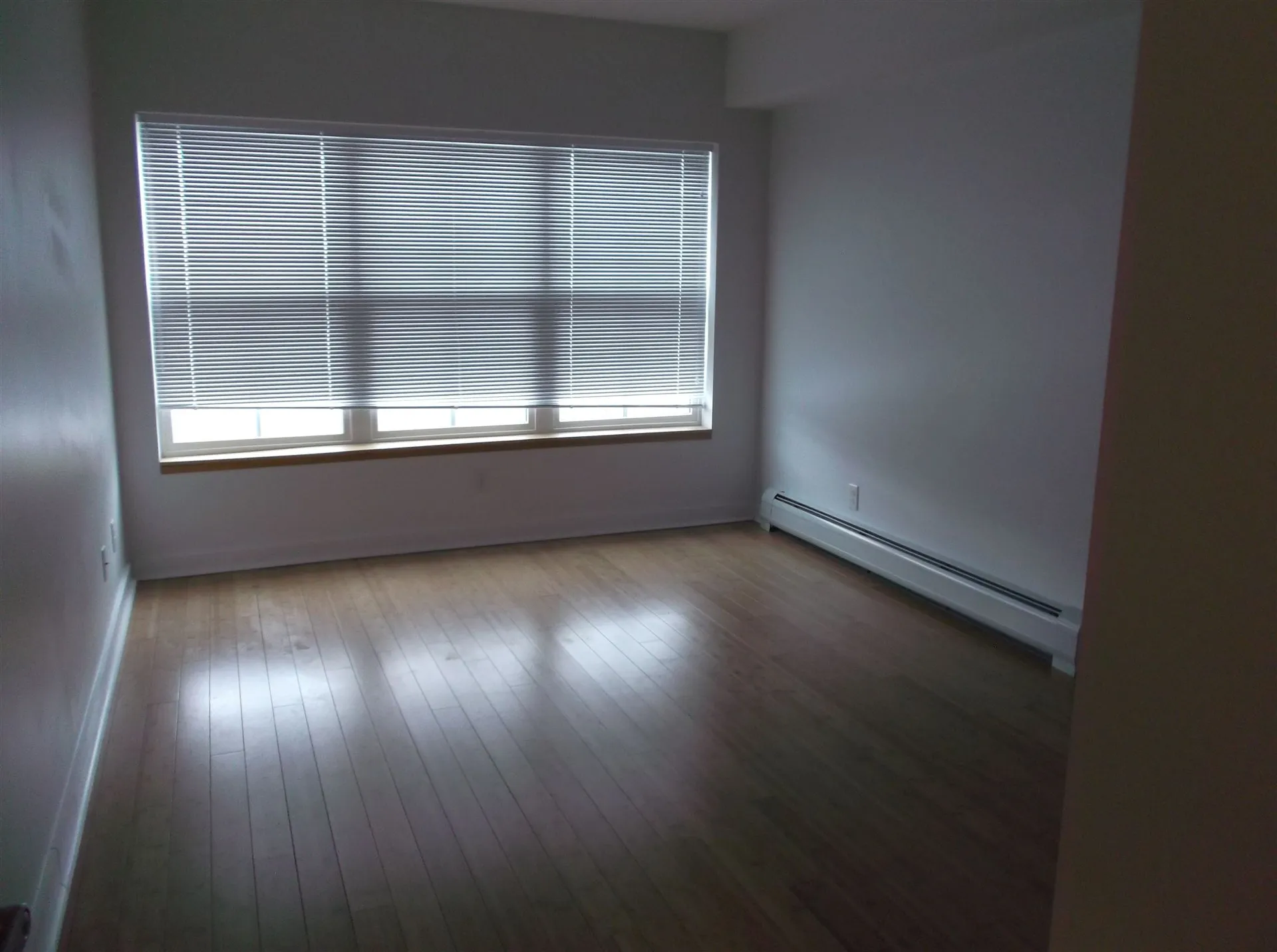193 St Paul Street Burlington VT 05401