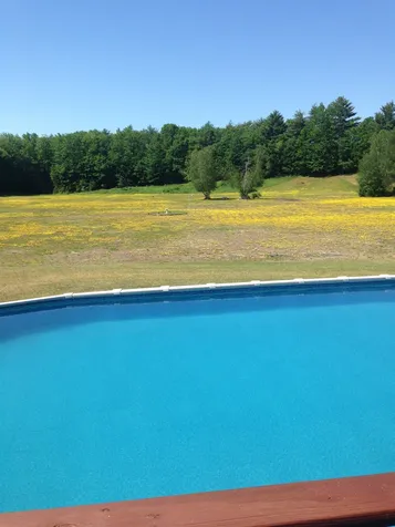 22 Drew Road New Durham NH 03855