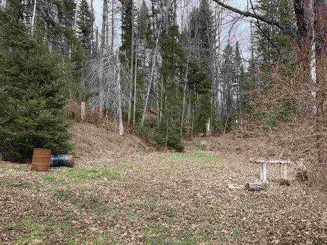 76 River Road Lunenburg VT 05906