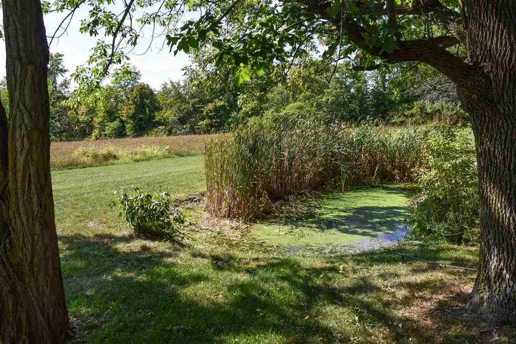 205 Crown Point Road Bridport VT 05734