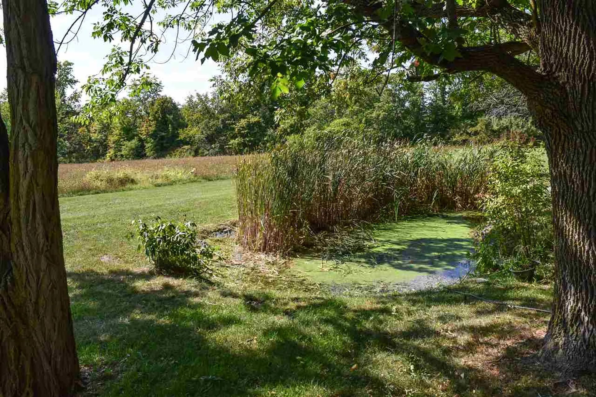 205 Crown Point Road Bridport VT 05734