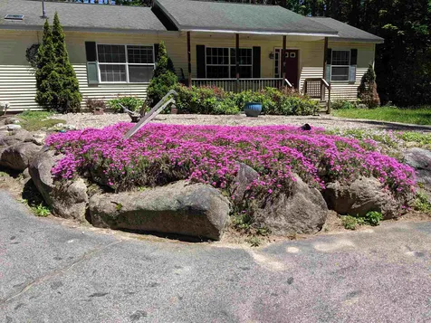 6 Dove Street Wolfeboro NH 03894