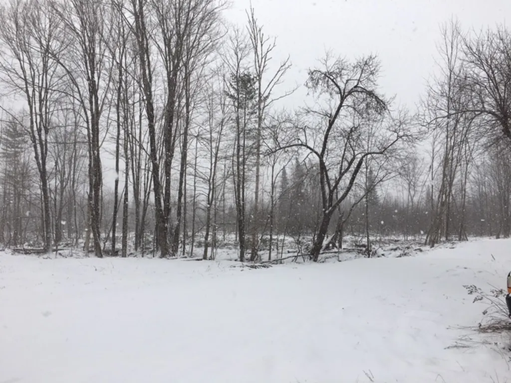 00 Eden Road Lowell VT 05847