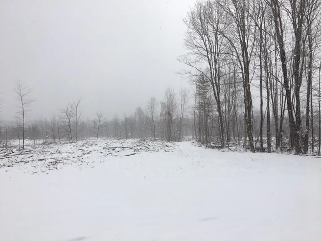 00 Eden Road Lowell VT 05847